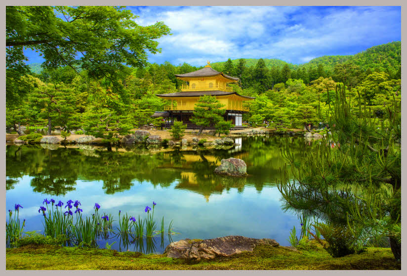 Kinkaku-ji Temple 4420